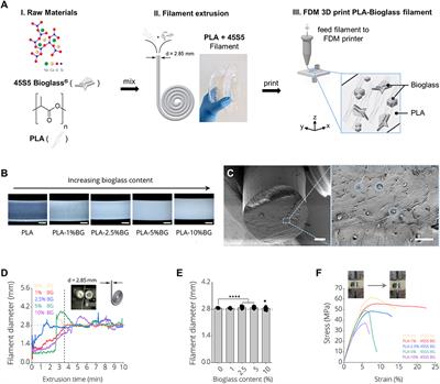 Polymer-Bioactive Glass Composite Filaments for 3D Scaffold Manufacturing by Fused Deposition Modeling: Fabrication and Characterization